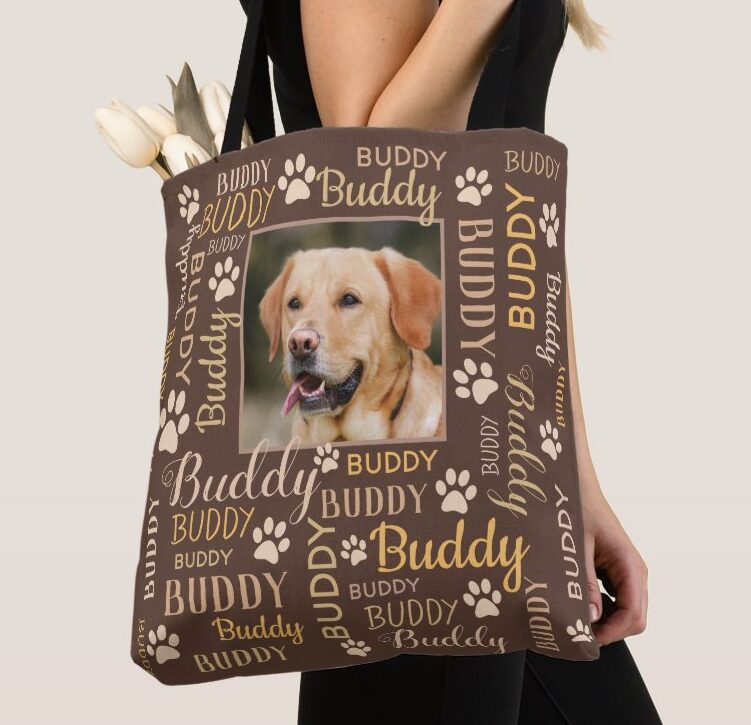 is buddy a dog name